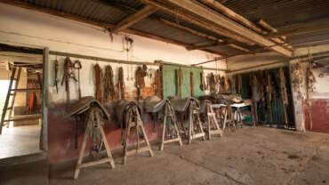 Trabajos de campo