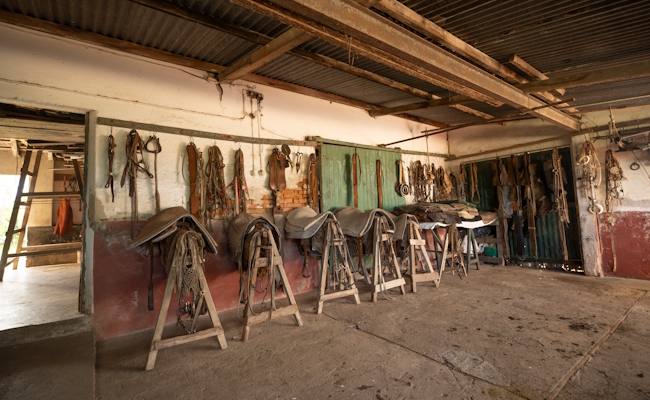 Trabajos de campo